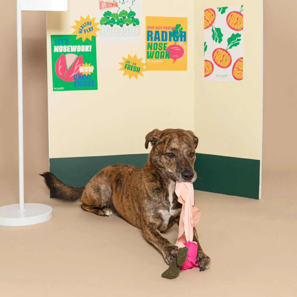 Radish Nosework Dog Toy