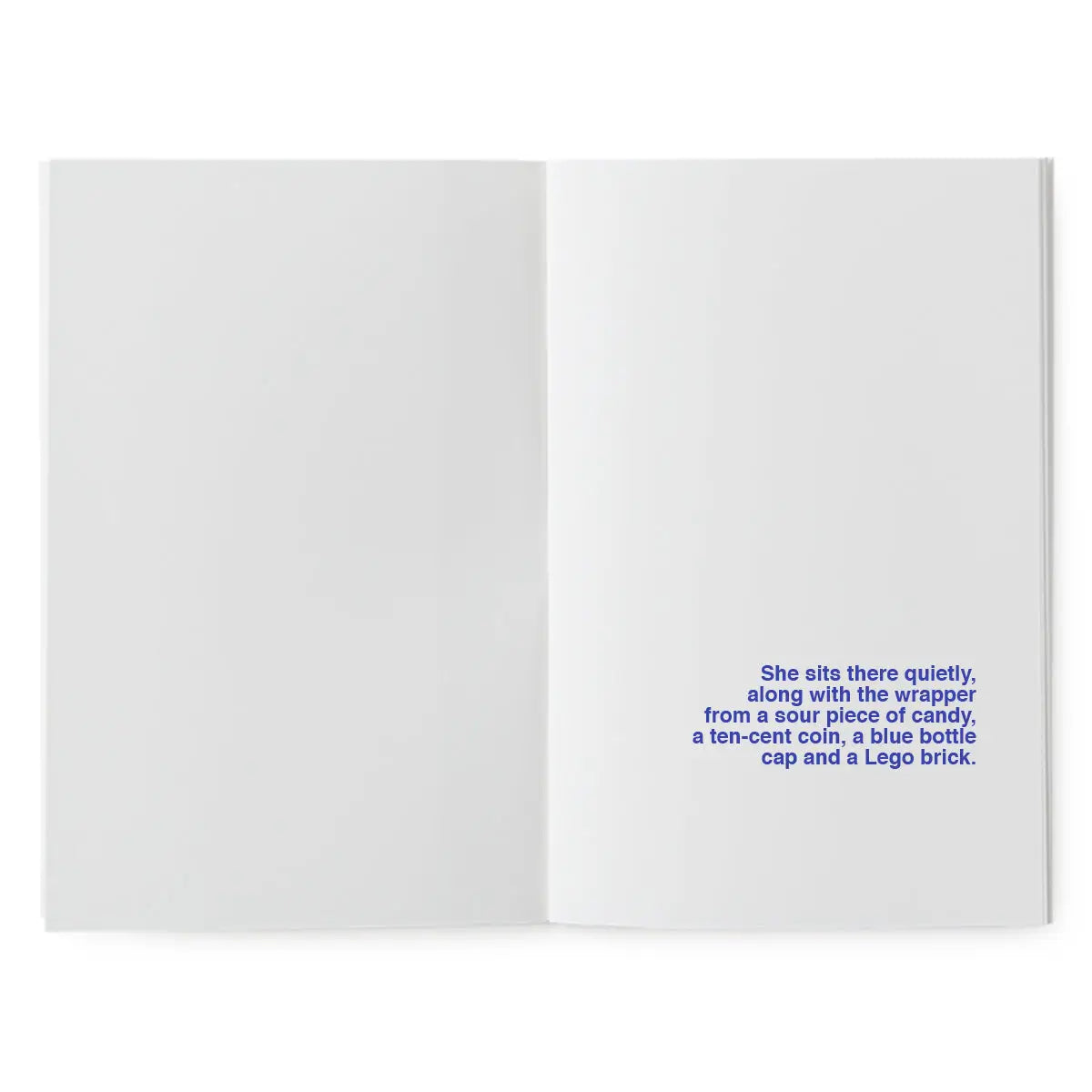 A Book to Illustrate - What Happens to Night during the Day…?