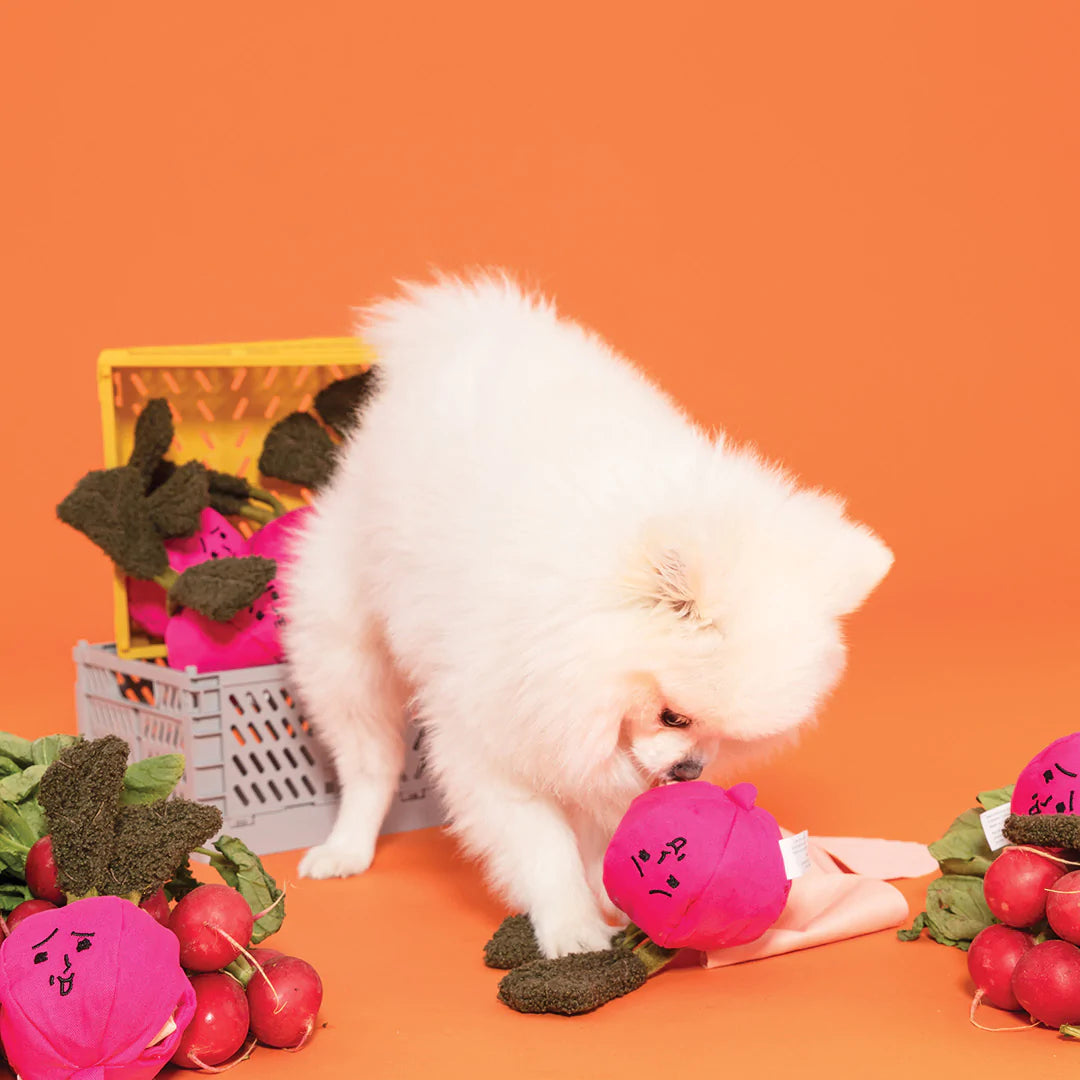 Radish Nosework Dog Toy