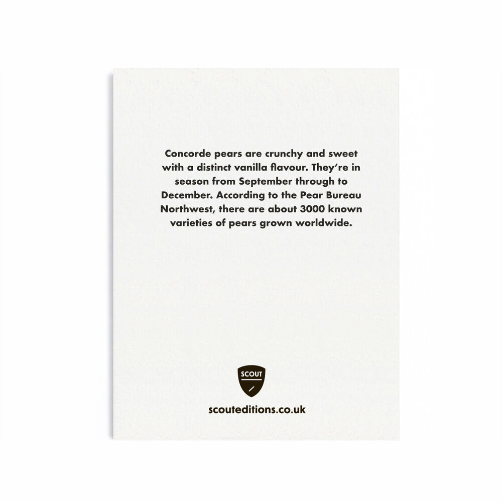 Concorde Pear Mini Card