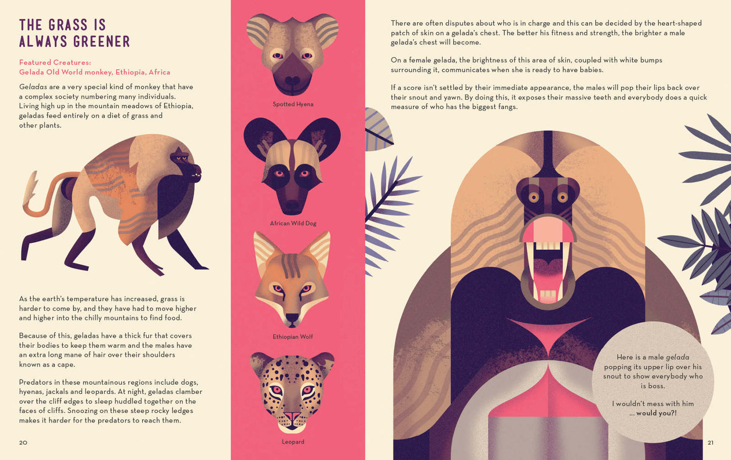 Mad About Monkeys