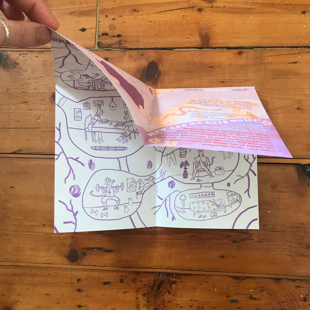 Seed Magazeen #5 - The Mud Issue