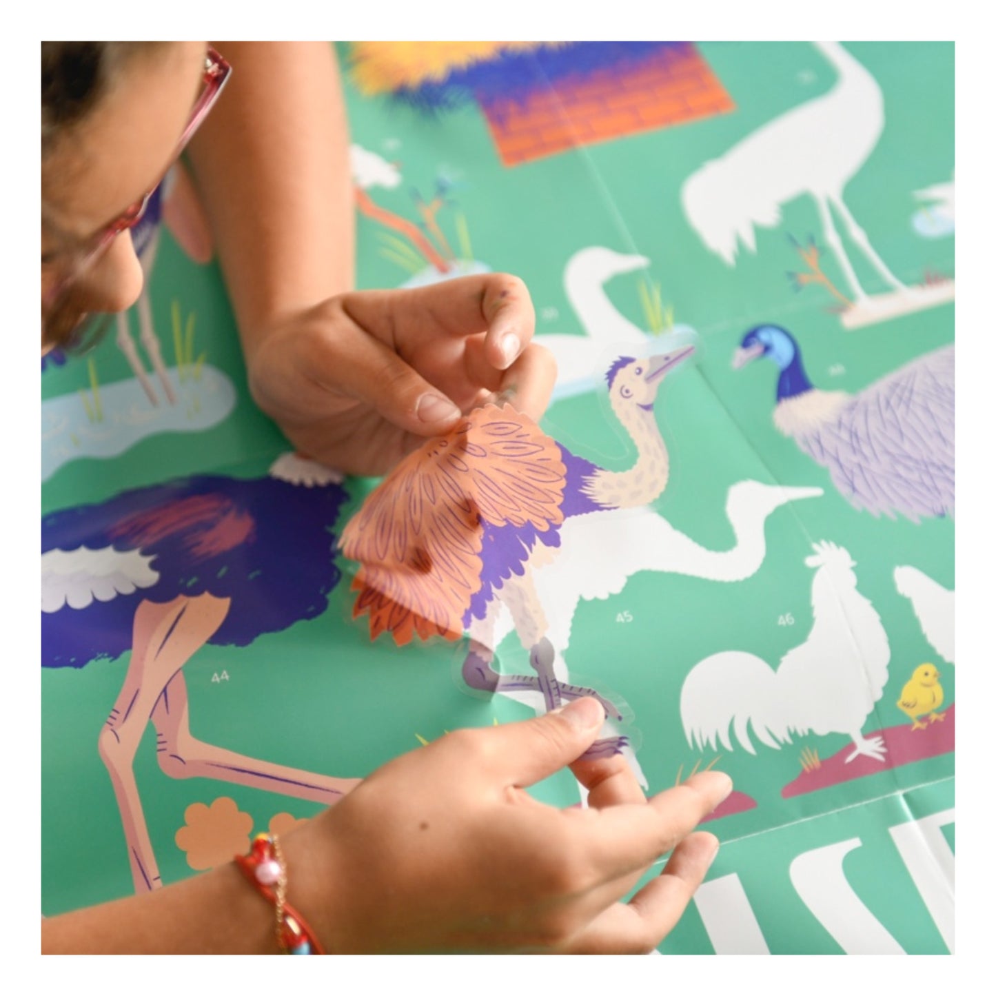 Poppik Discovery Poster - Birds
