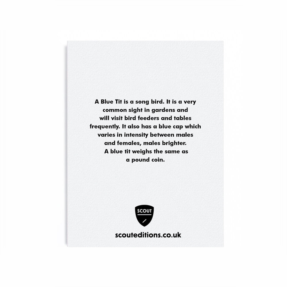 Blue Tit Mini Card