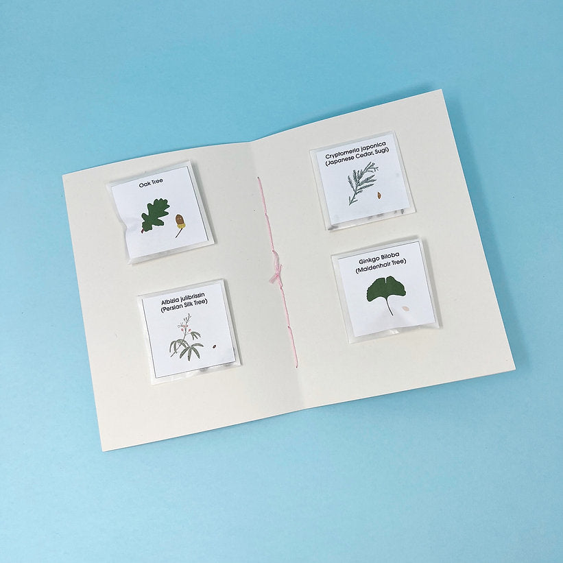 Tree Planner (with seeds)