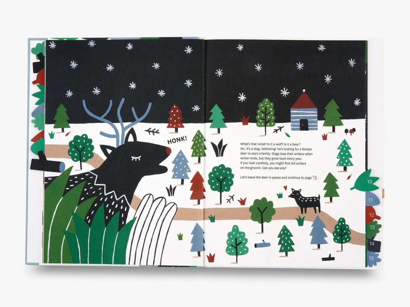 Through the Forest by Steffie Brocoli and Catherine Bidet