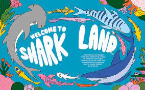 Anorak ‘The Sharks Issue’ volume 56