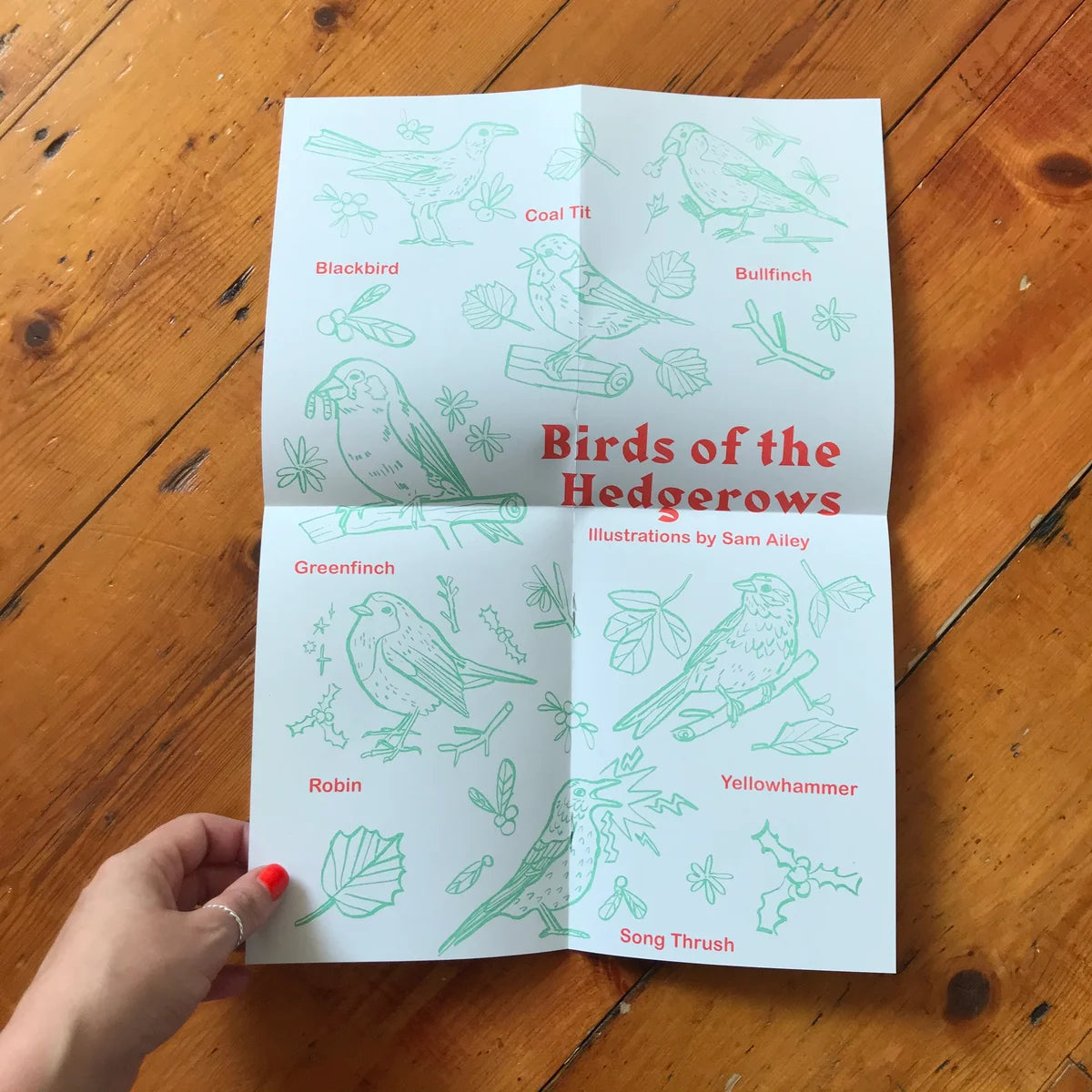 Seed Magazeen #6 - The Hedgerow Issue