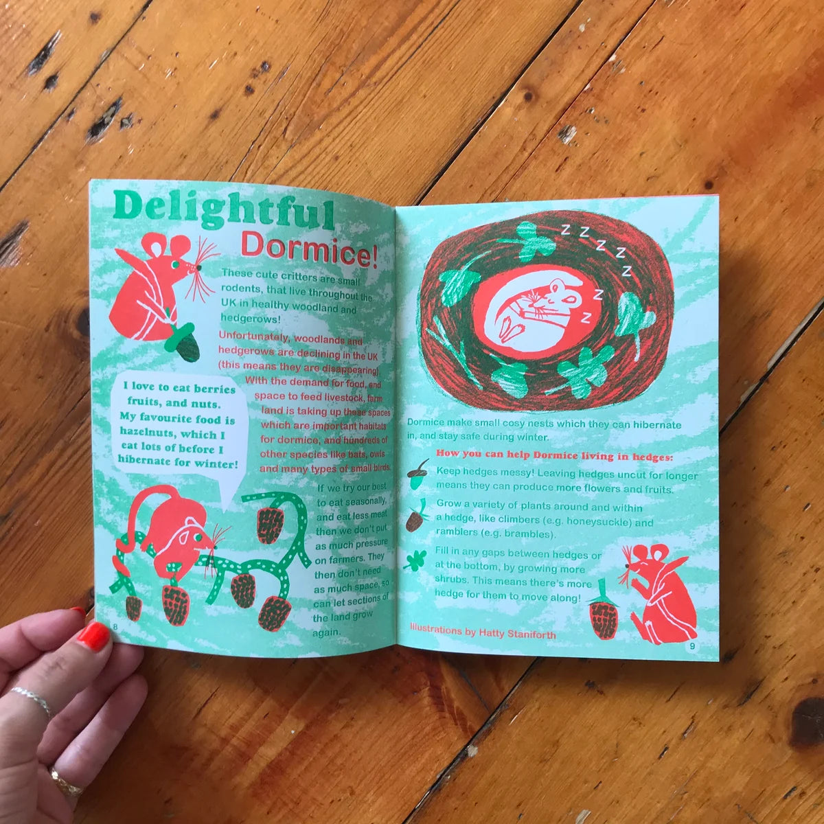 Seed Magazeen #6 - The Hedgerow Issue