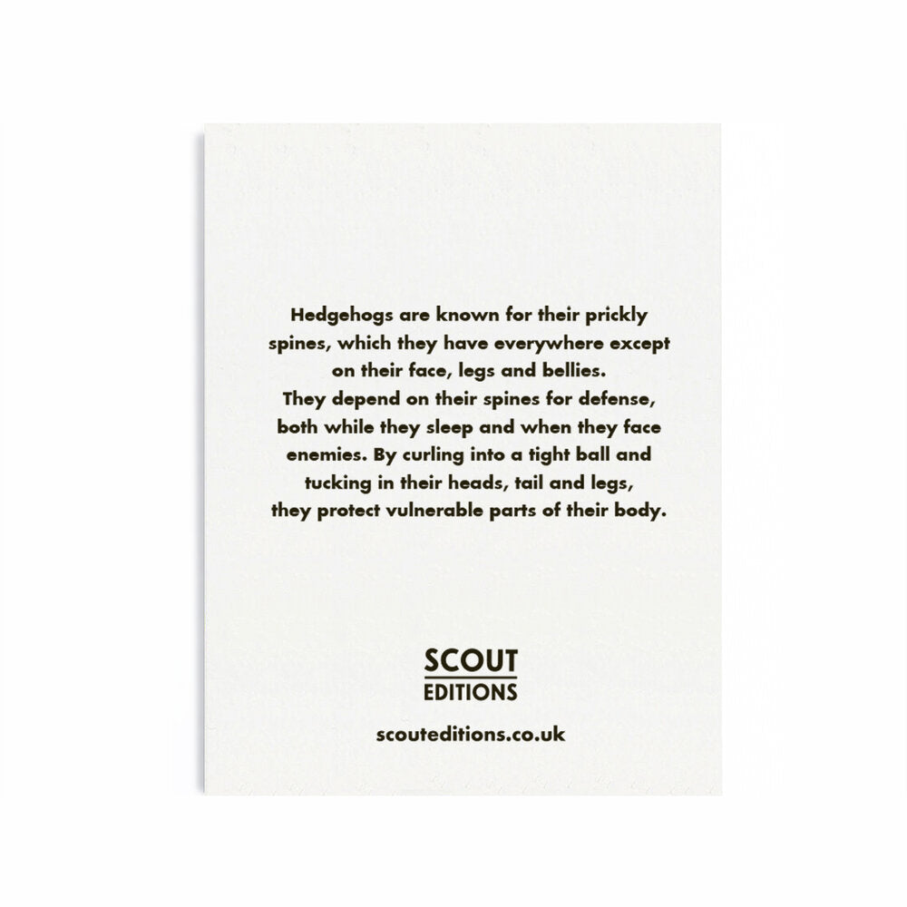 Hedgehog Mini Card