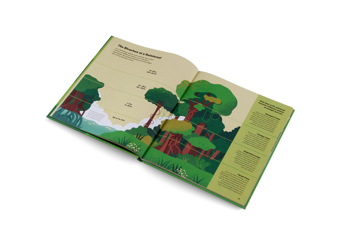 Explore the Rainforest