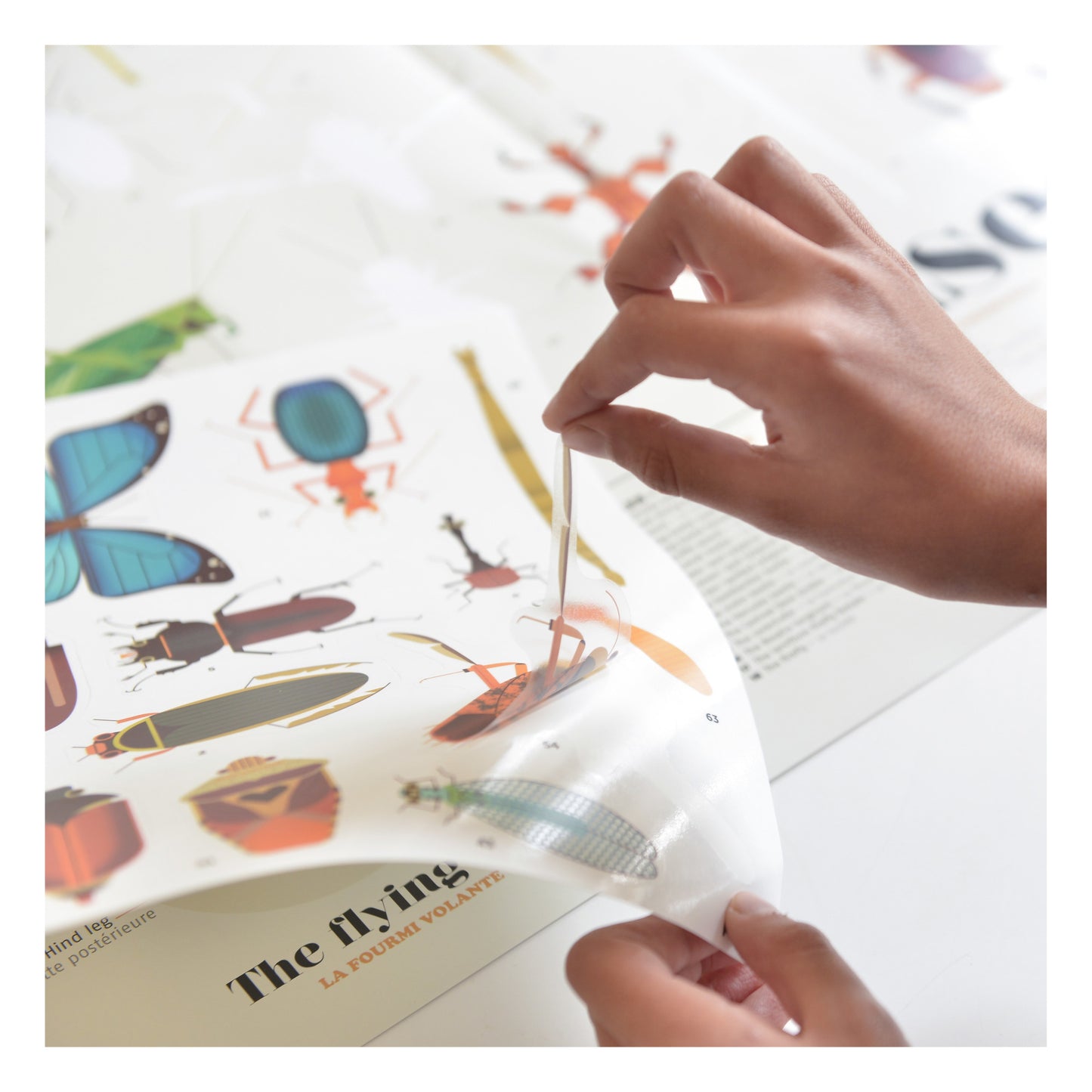 Poppik Creative Stickers - Insects