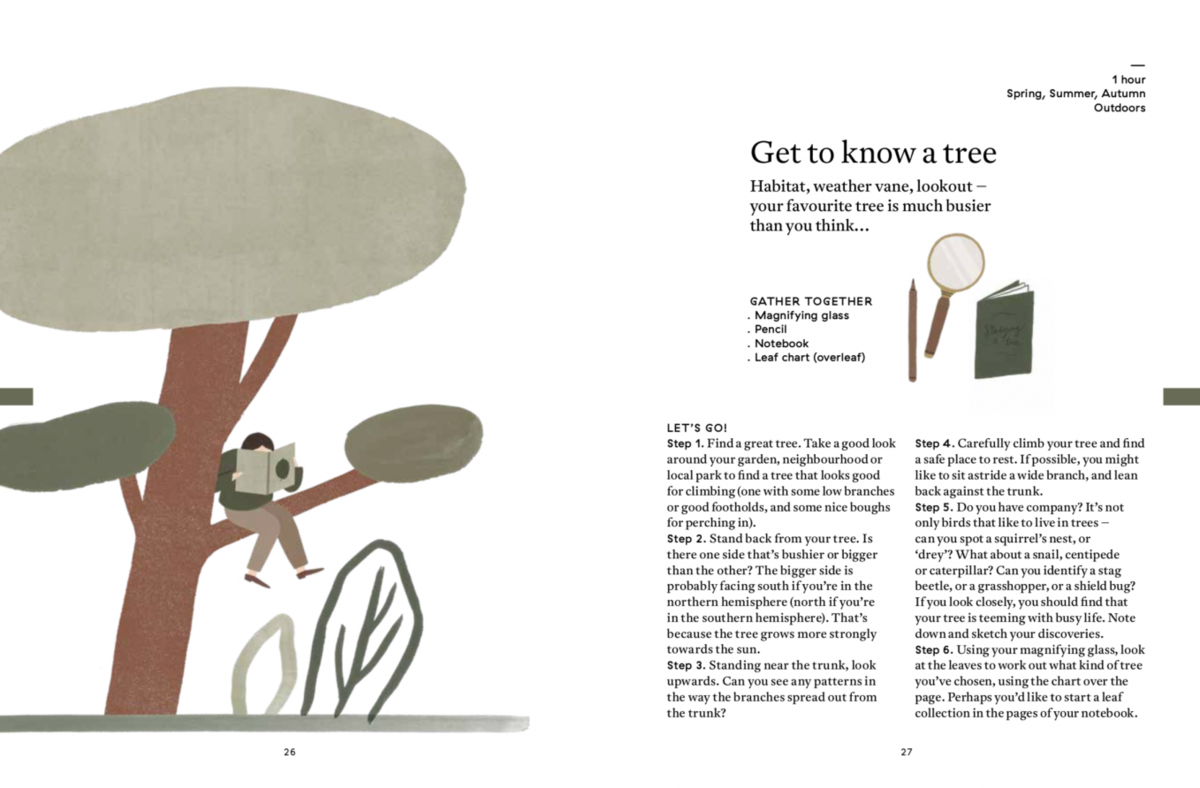The Nature of Play