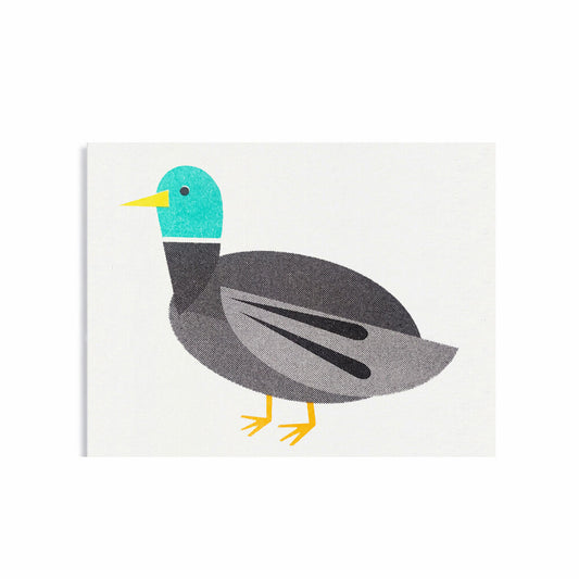Mallard Duck Mini Card
