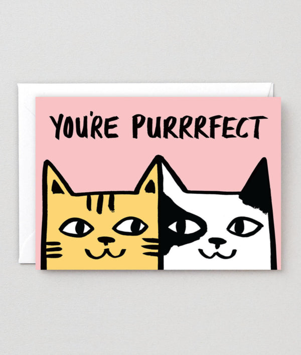 Wrap - You’re Purrrfect Card