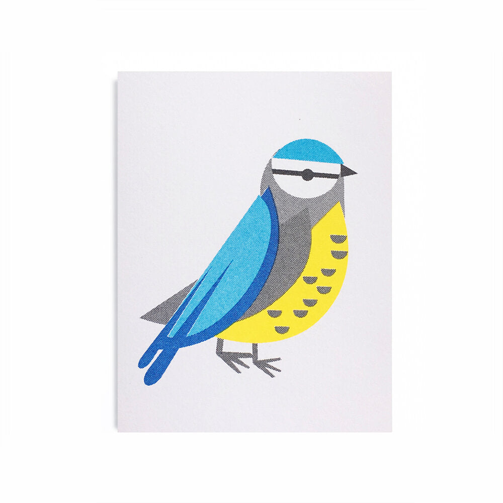 Blue Tit Mini Card