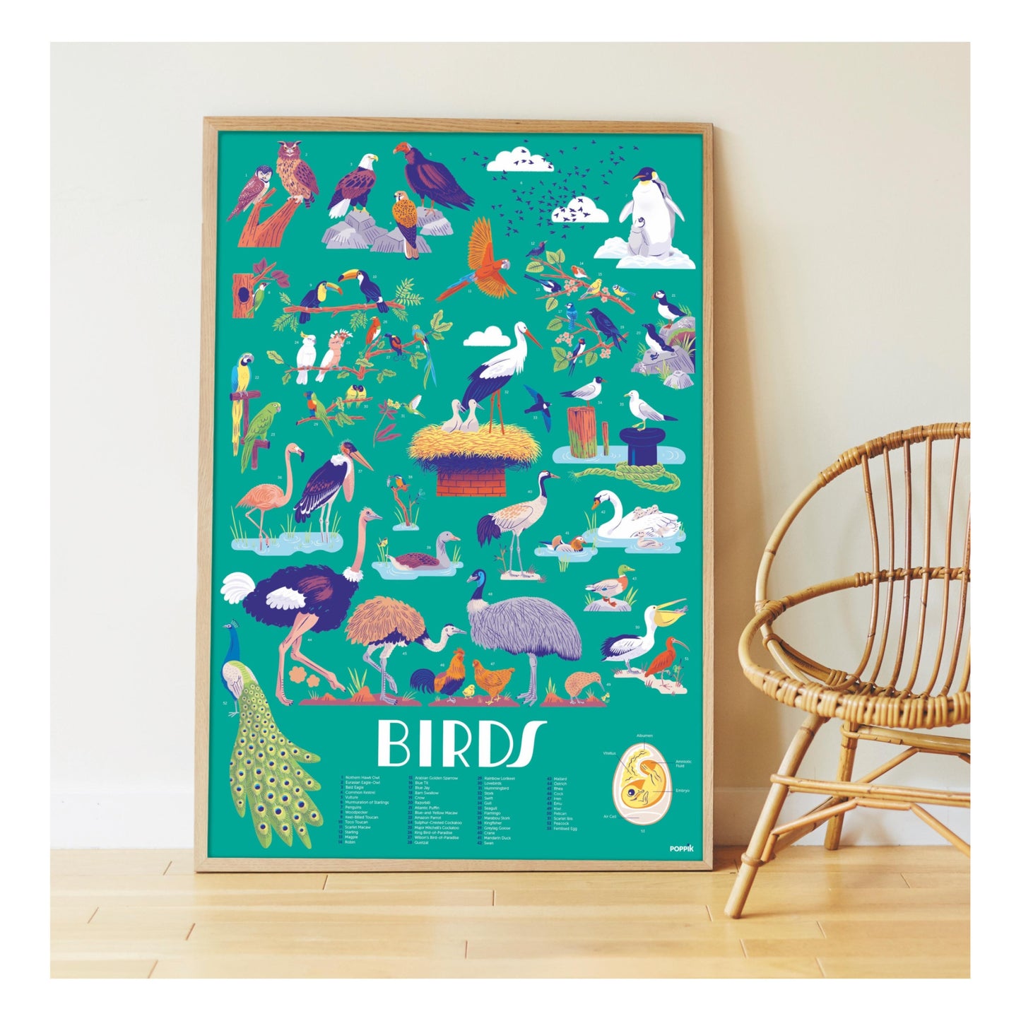 Poppik Discovery Poster - Birds